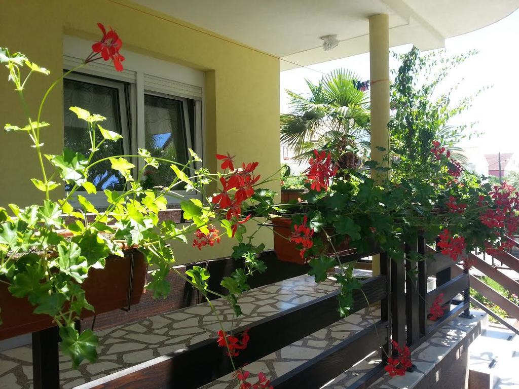 Apartment Perunika 扎达尔 外观 照片